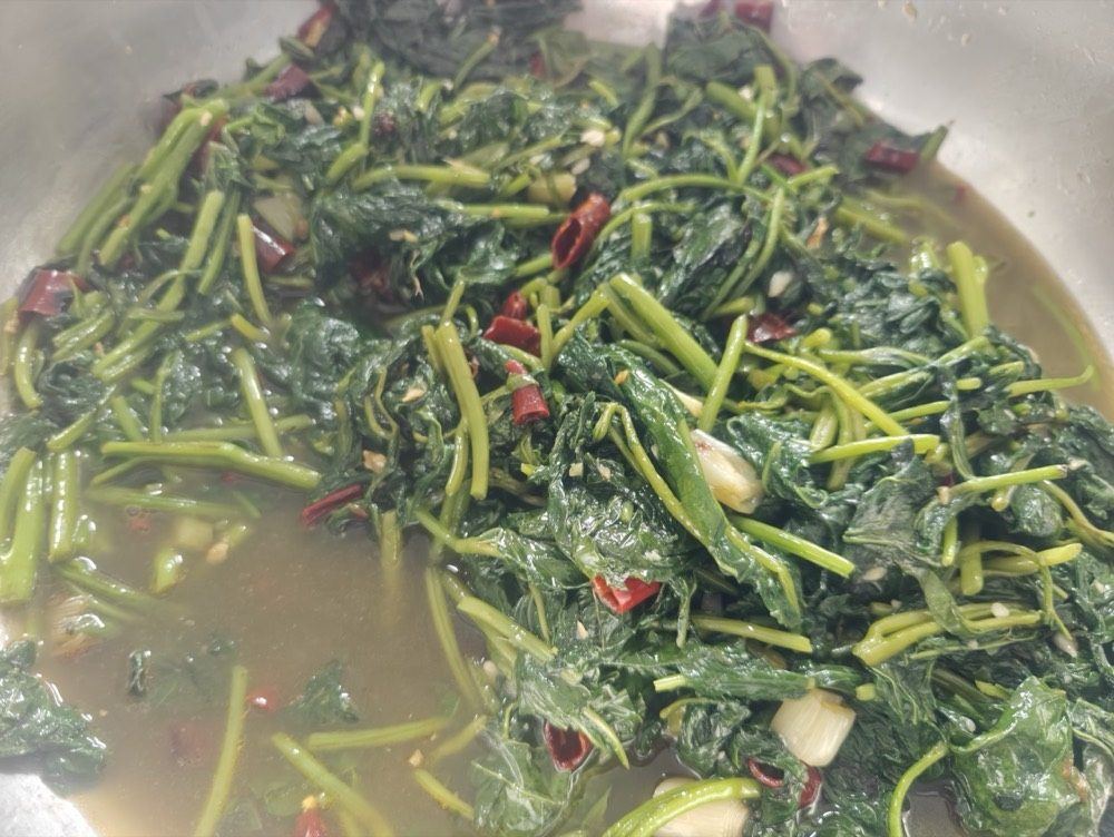 校园环境27